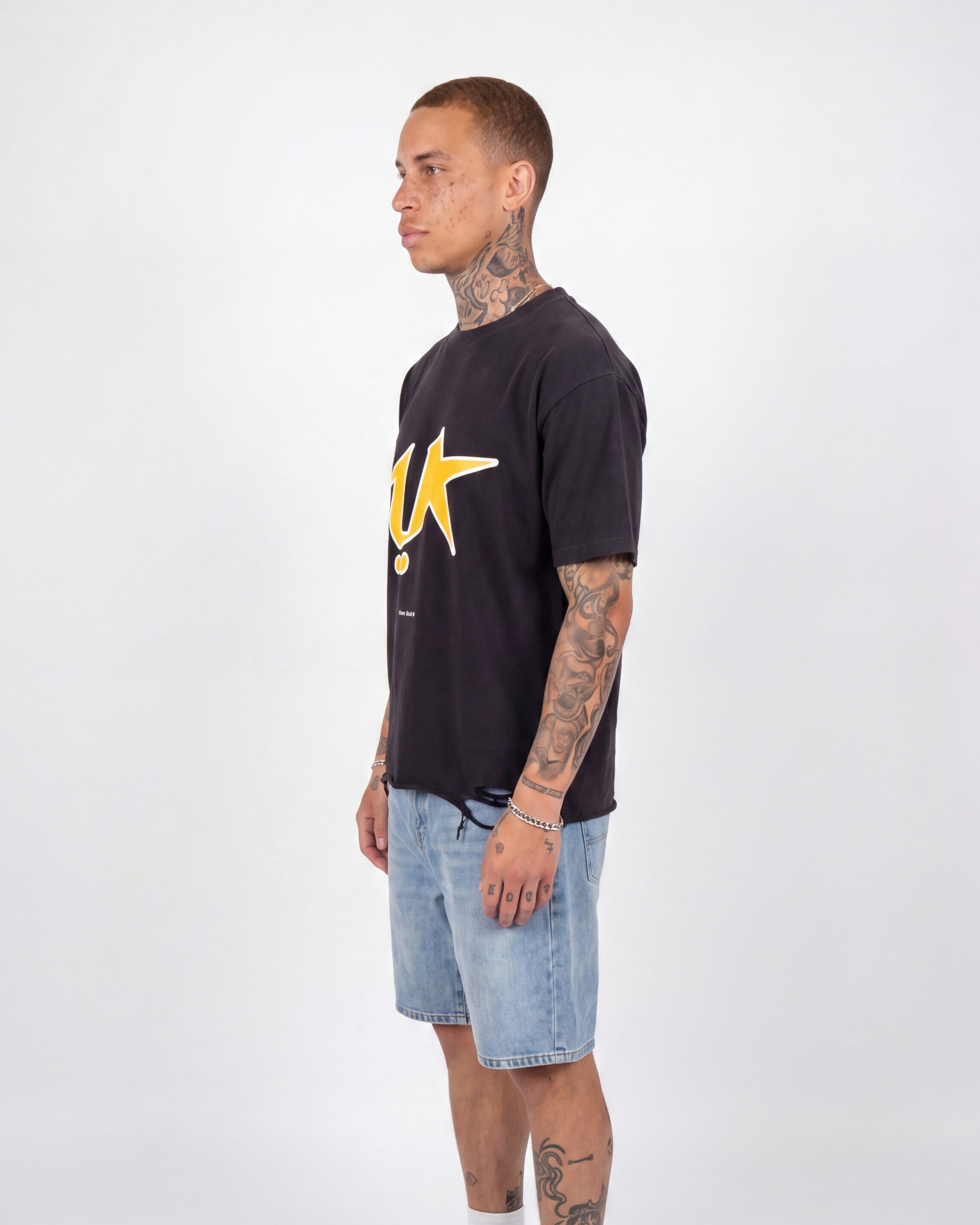 Emblem Distressed Tee